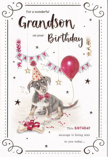 Picture of GRANDSON BITHDAY CARD